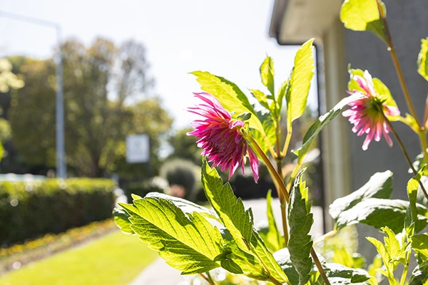 Academy Funeral Services 230307 Edited 824